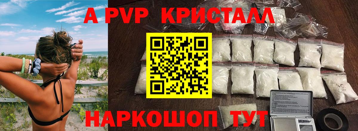 A PVP СК КРИС Кемерово